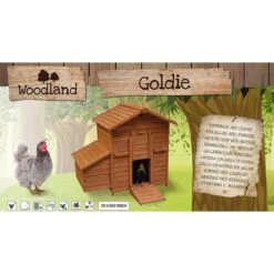 Woodland Kippenhok Goldie Bruin 121 × 81,6 × 109 Cm -Huisdier Winkel 1636712824 3 600