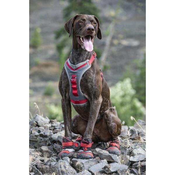 Hondenschoenen Kurgo Blaze Cross Shoe Rood - L 2 Hondenschoenen Kurgo Blaze Cross Shoe Rood - L - Afbeelding 2