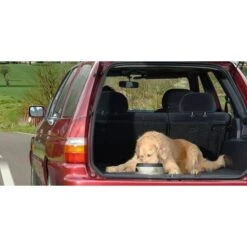 Road Refresher Anti-smos Drinkbak Grijs - S -Huisdier Winkel 1637845180 3 600