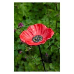 Voederschaal Klaproos Met Prikker -Huisdier Winkel 1642067810 1 600