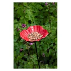 Voederschaal Klaproos Met Prikker -Huisdier Winkel 1642067810 2 600