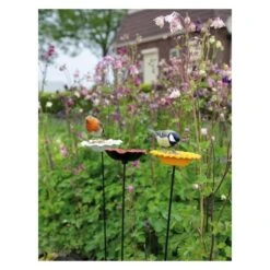 Voederschaal Klaproos Met Prikker -Huisdier Winkel 1642067810 3 600