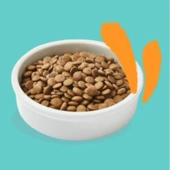 Edgard & Cooper Kattenvoer Adult Met Verse Scharrelkip - 2 Kg 7 Edgard & Cooper Kattenvoer Adult Met Verse Scharrelkip - 2 Kg -Huisdier Winkel 1676986592 3 600