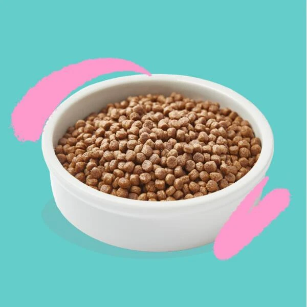 Edgard & Cooper Kattenvoer Kitten Met Verse Scharrelkip En Eend - 2 Kg 4 Edgard & Cooper Kattenvoer Kitten Met Verse Scharrelkip En Eend - 2 Kg - Afbeelding 4