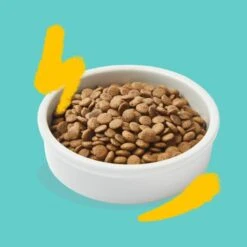 Edgard & Cooper Kattenvoer Adult Met Verse Scharrelkalkoen En Kip - 2 Kg -Huisdier Winkel 1677151805 3 600