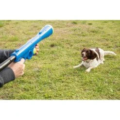 Ballenschieter - Blauw 7 Ballenschieter - Blauw -Huisdier Winkel beeztees fetch ballenschieter hondenspeelgoed blauw 60x20x8cm 1601016254 38 600