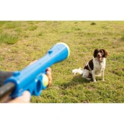 Ballenschieter - Blauw 8 Ballenschieter - Blauw -Huisdier Winkel beeztees fetch ballenschieter hondenspeelgoed blauw 60x20x8cm 1601016254 39 600