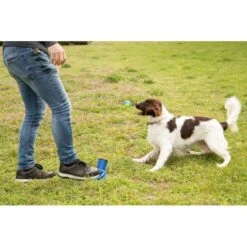 Tennisballenschieter - Blauw -Huisdier Winkel beeztees fetch voet ballenschieter hondenspeelgoed blauw 27 cm 1601016254 43 600