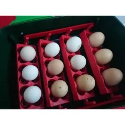 Broedmachine Met Automatische Kering - 12 Eieren -Huisdier Winkel broedmachine ovomatic 12 1586878289 2 600