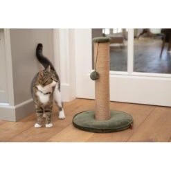 Krabpaal Yenna 35 × 35 × 60 Cm Groen - Designed By Lotte -Huisdier Winkel designed by lotte yenna krabpaal groen 35x35x60 cm 1601016254 26 600