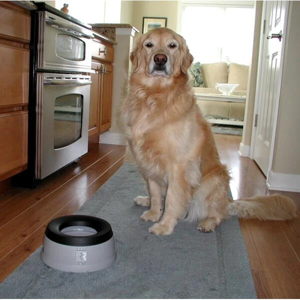 Road Refresher Anti-smos Drinkbak Grijs - L 2 Road Refresher Anti-smos Drinkbak Grijs - L - Afbeelding 2