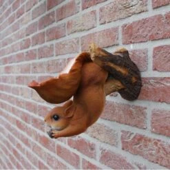 Eekhoorn Wandvoederschaal -Huisdier Winkel eekhoorn wandvoederschaal 1522230162 1 600