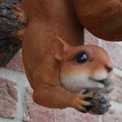 Eekhoorn Wandvoederschaal -Huisdier Winkel eekhoorn wandvoederschaal 1522230391 1 600