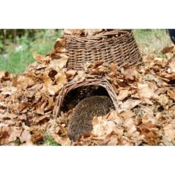 ESSCHERT DESIGN Egelhuis - Egelnest Wilgentenen -Huisdier Winkel egelhuis egelnest wilgentenen 1484067396 4 600