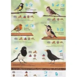 Emma's Garden Vogelvoeder Start Pack -Huisdier Winkel emmas garden start pack 1636369560 4 600
