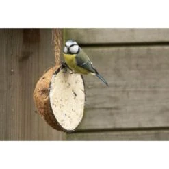 Emma's Garden Vogelvoeder Start Pack -Huisdier Winkel emmas garden start pack vogelvoer 1638884419 1 600