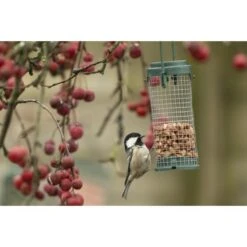 Emma's Garden Vogelvoeder Start Pack -Huisdier Winkel emmas garden start pack vogelvoer 1638886127 1 600