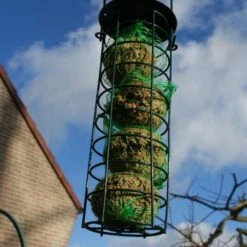 Emmer Met Mezenbollen - Set Van 35 Stuks -Huisdier Winkel emmer met mezenbollen 1515415996 1 600