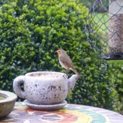 Gepelde Zonnebloempitten - 2 Kg -Huisdier Winkel gepelde zonnebloempitten 2 kg 1577449956 1 600