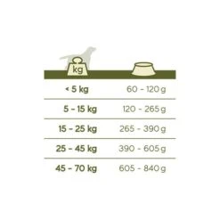 VERSELE-LAGA Hondenvoer Happy Life ADULT Kip - 15 Kg -Huisdier Winkel happy life adult chicken 15kg 1626356073 2 600