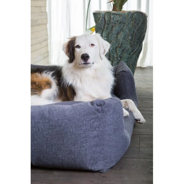 Hondenmand Fantail 'Snooze' 60 × 50 Cm - Epic Grey 2 Hondenmand Fantail 'Snooze' 60 × 50 Cm - Epic Grey - Afbeelding 2