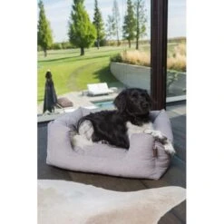 Hondenmand Fantail 'Snooze' 60 × 50 Cm - Silver Spoon -Huisdier Winkel hondenmand fantail 60 x 50 cm silver spoon 1623239871 2 600