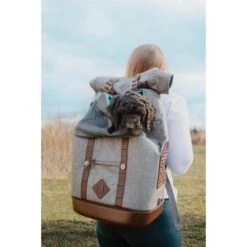 Hond- En Kattenrugzak Kurgo K9 - Grijs -Huisdier Winkel hondenrugzak kurgo k9 grijs 1638370289 1 600