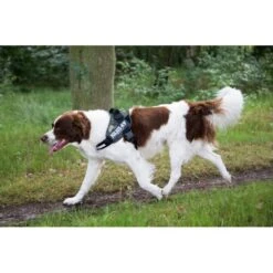 JULIUS K9 Hondentuig Camouflage - Large 5 JULIUS K9 Hondentuig Camouflage - Large -Huisdier Winkel julius k9 hondentuig camouflage maat 2 7196 cm 1601016254 206 600