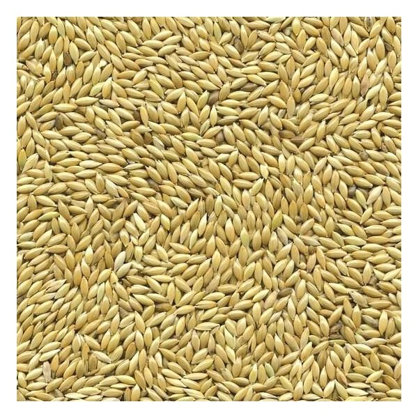 Kanariezaad 5 Kg 1 Kanariezaad 5 Kg