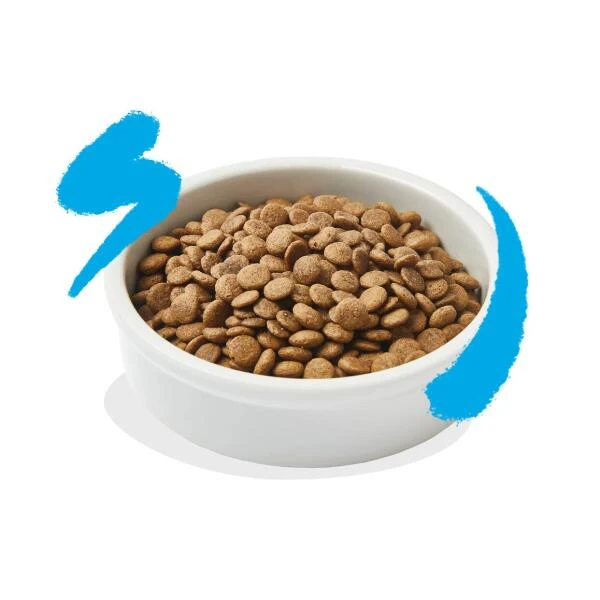 Edgard & Cooper Kattenvoer Adult Met Verse Zalm - 2 Kg 3 Edgard & Cooper Kattenvoer Adult Met Verse Zalm - 2 Kg - Afbeelding 3