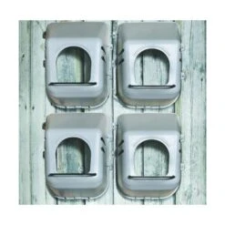 Kippen Legbak Wandmodel -Huisdier Winkel kippen legbak muurmodel 1525099272 3 600