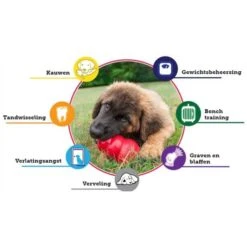 Kong Classic Rood Ø 8,5 Cm - XL -Huisdier Winkel kong classic rood 85 cm xl 1570534953 2 600