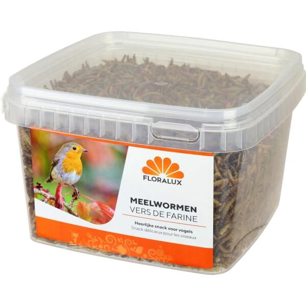 Meelwormen Voor Tuinvogels 450 G 1 Meelwormen Voor Tuinvogels 450 G