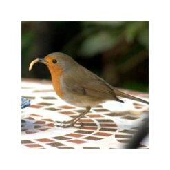 Gedroogde Meelwormen - 100 Gram 8 Gedroogde Meelwormen - 100 Gram -Huisdier Winkel meelwormen gevriesdroogd 100g 1484053488 3 600