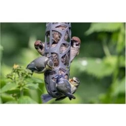 Mezenbolhouder Gerecycleerd Kunststof Voor 3 Mezenbollen -Huisdier Winkel mezenbolhouder hello sam 1576924932 3 600