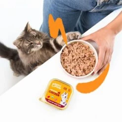 Edgard & Cooper Multipack Paté Voor Volwassen Katten - 8 × 85 G -Huisdier Winkel natvoer adult cat 8 x 85 g 1676983458 1 600