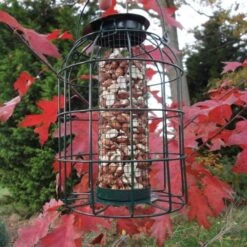 Pindavoedersilo Kleine Vogels - Groen -Huisdier Winkel pindavoedersilo kleine vogels 1484052978 4 600