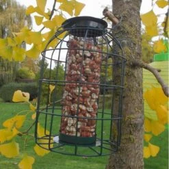 Pindavoedersilo Kleine Vogels - Groen -Huisdier Winkel pindavoedersilo kleine vogels 1484052978 5 600