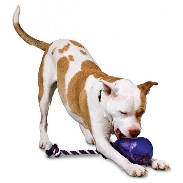 Snoepjes Zien-ruiken-horen En Proeven - M/L 1 Snoepjes Zien-ruiken-horen En Proeven - M/L