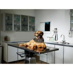 Thundershirt Antistress Voor Honden Grijs - M -Huisdier Winkel thundershirt n4 m 1484054463 3 600