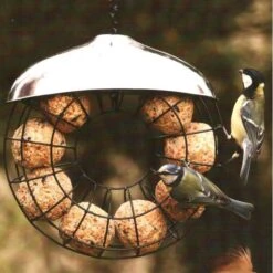 Donut Mezenbollenring