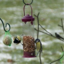 Voederstation Colors Met Voedersystemen -Huisdier Winkel voederstation colors toebehoren 1520867394 1 600