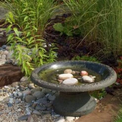 Vogelbad Rustiek XL - Kunststof -Huisdier Winkel vogelbad rustiek xl kunststof 1660120179 4 600