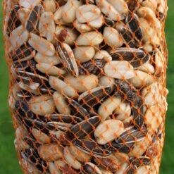 Voederslinger Mix Met Rozijnen - 750 G -Huisdier Winkel winterkrans mix met rozijnen 750 g 1538387970 1 600